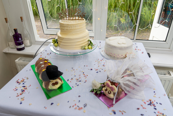 WheelerWedding-FRY246
